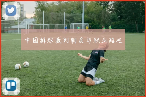 中国排球裁判制度与职业路径