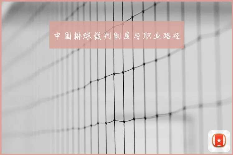 中国排球裁判制度与职业路径