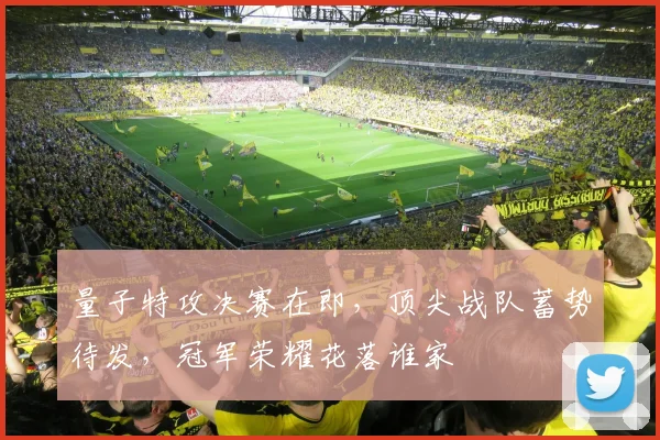 量子特攻决赛在即，顶尖战队蓄势待发，冠军荣耀花落谁家