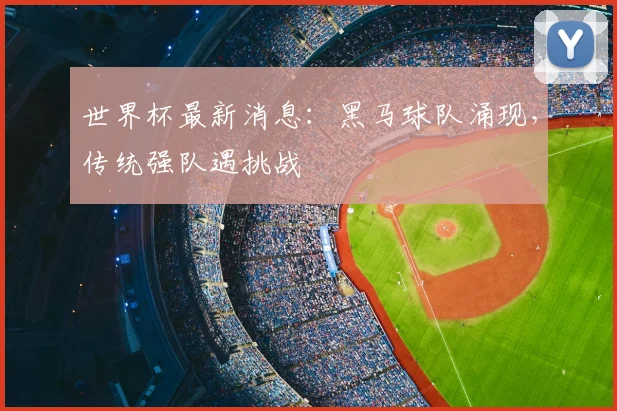 世界杯最新消息：黑马球队涌现，传统强队遇挑战